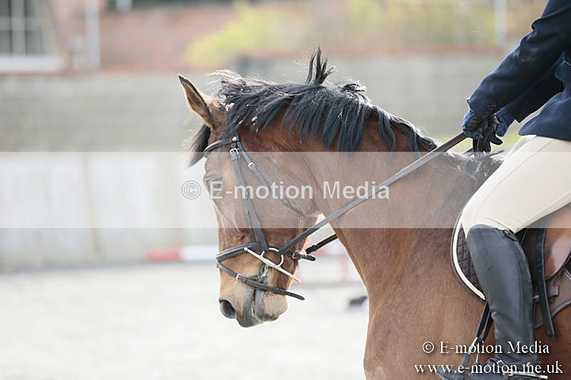 BVRC SJ 170319 756 - Bourne Valley Riding Club Showjumping 17/03/19