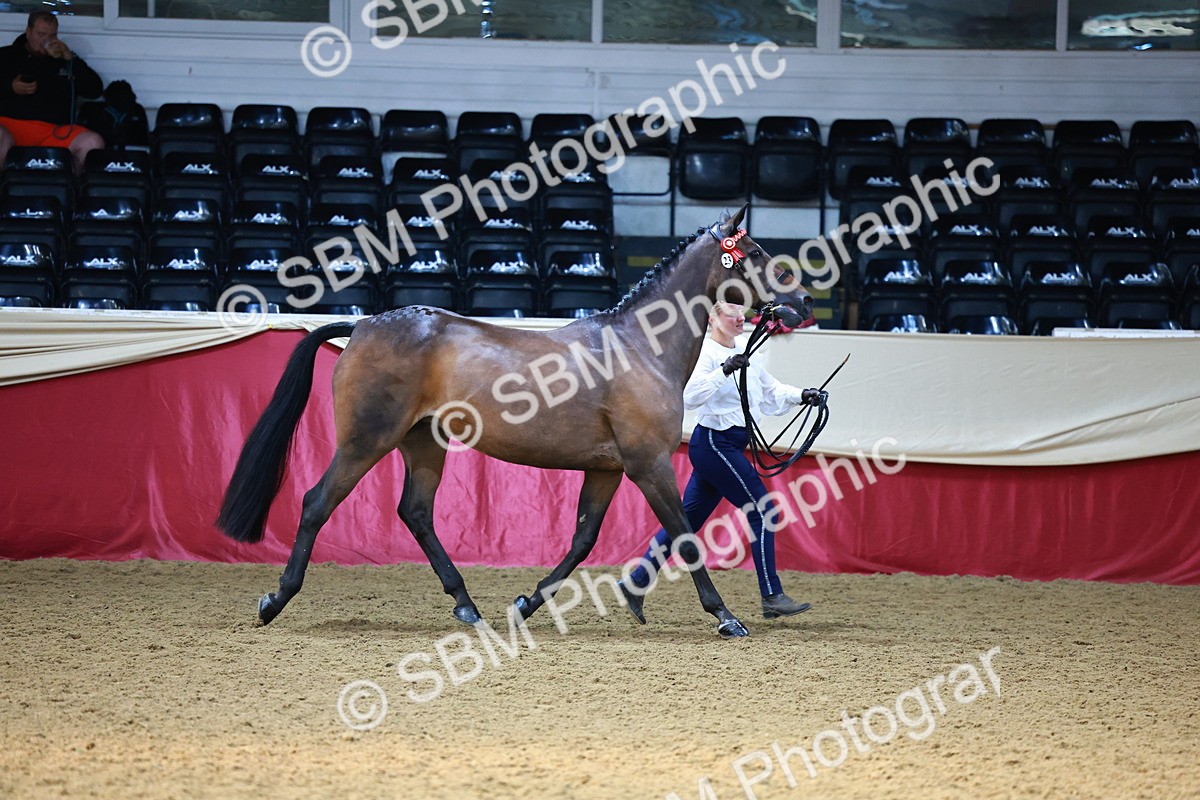 SBM_22195 - Class 902 - Supreme Final - IH Diamond