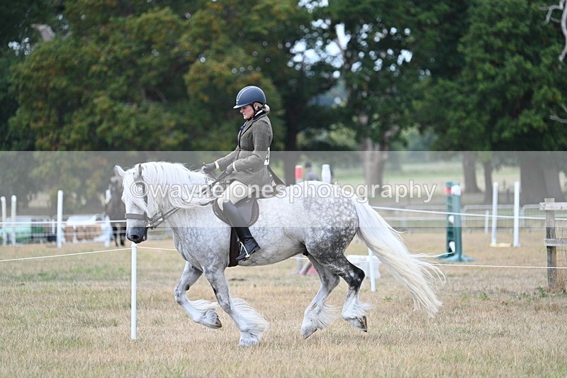 WJ7_5147 - Class 12 Ridden Cob