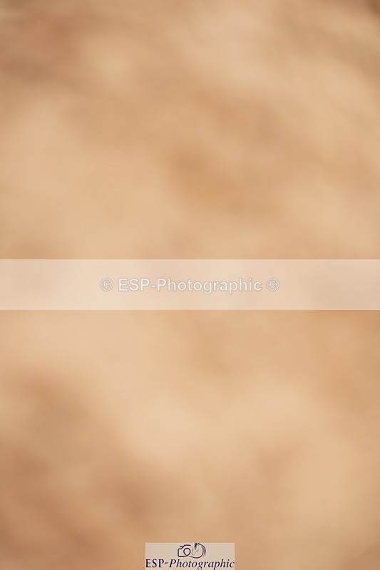 240524A-113532-03157 - Cls 14 Newcomers