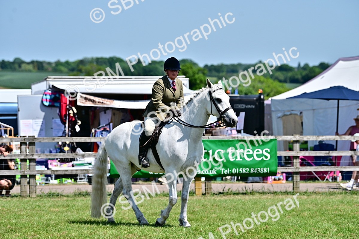 SBM_17500 - Class 95-97 - BSPS LHS Performance Ponies