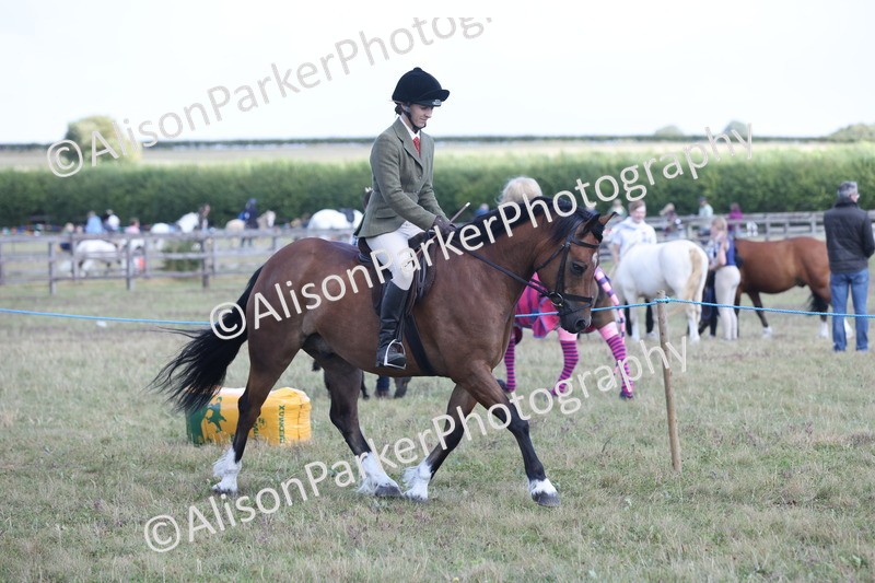 20250831-2910 - Class 19 - Mountain and Moorland