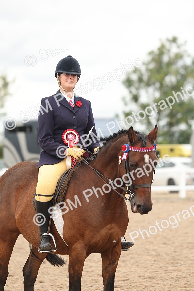 SBM_16073 - Class 311 - Ridden Show pony-Show hunter Pony