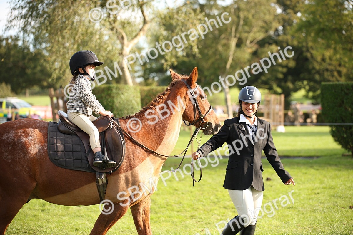 SBM_54291 - S27 - Mature Veteran - Ridden