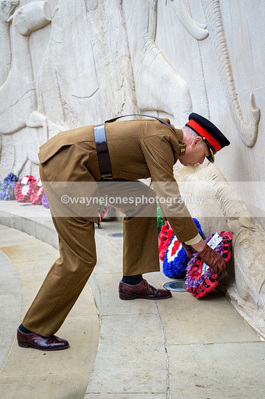 NGP_8247 - 2024 Animals in War Remembrance Gathering