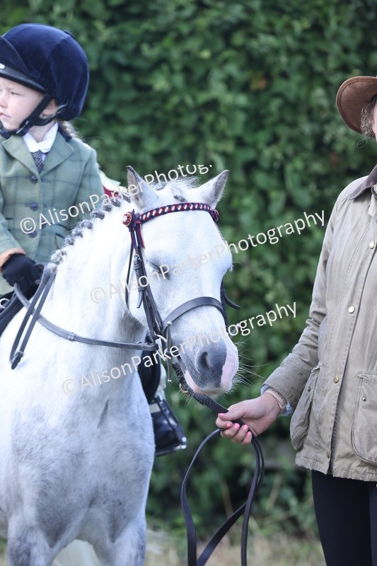 20250831-2704 - Class 17 - Lead Rein Pony