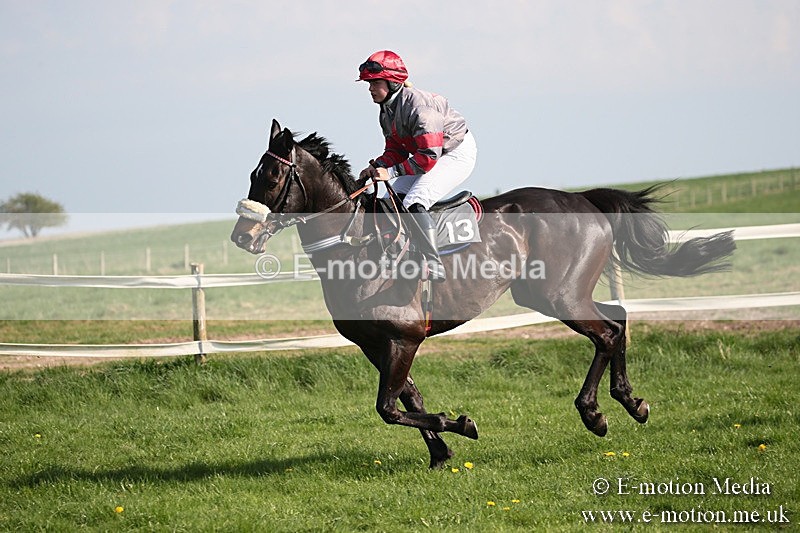 PtP 210418 463 - South & West Wilts Point-to-Point Larkhill 21/04/18