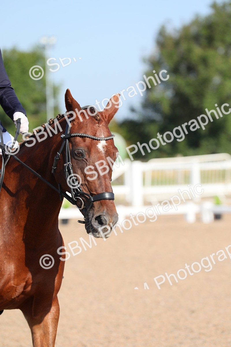 SBM_01076 - Class 30 Intro 1