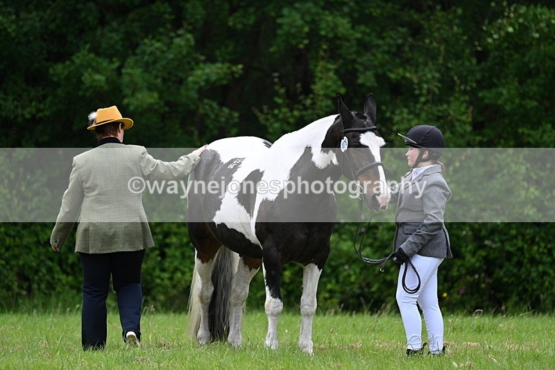 WJ7_4157 - Class 14A Handsome Gelding