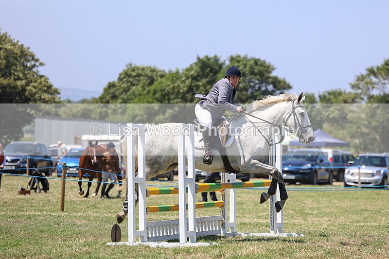 3E7A4381 - Class 10: Senior British Novice/90cm open