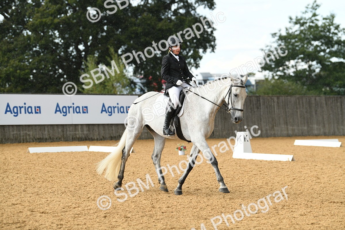 SBM_11185 - D28 Elementary Taster Elementary 42