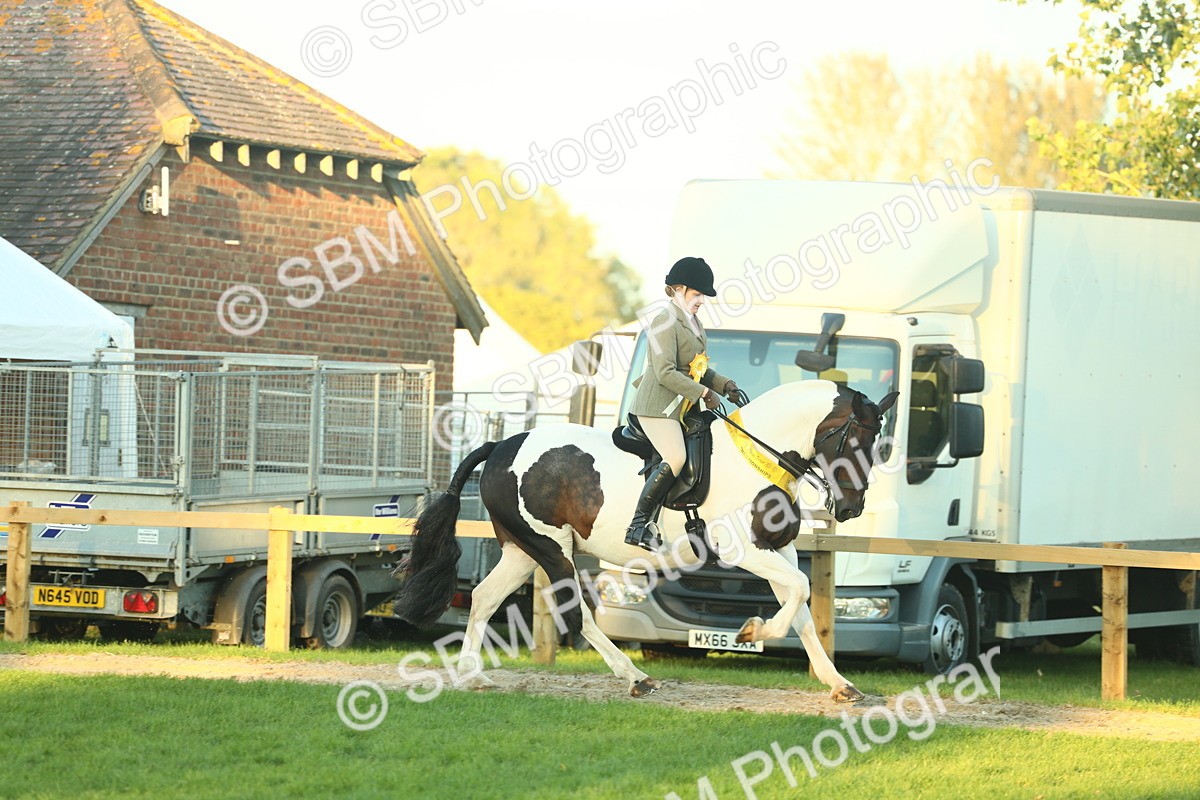 SBM_56594 - S14 - Riding Club Horse