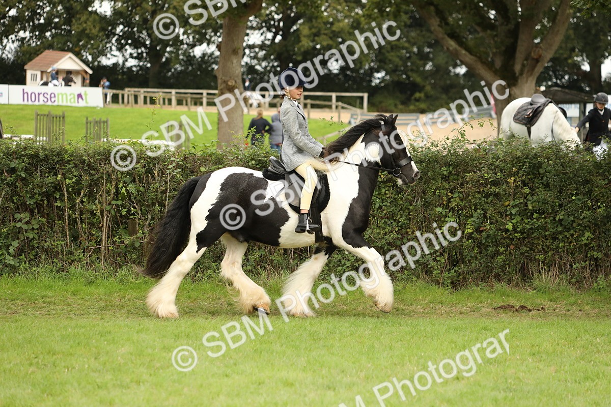 SBM_71670 - S41 - Ridden Equitation (Best Rider)