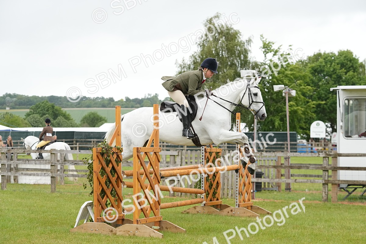 SBM_12598 - Class 97-98 - LIHS BSHA Rising Star Working Show Horse Hunter