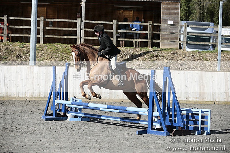 BVRC SJ 170319 136 - Bourne Valley Riding Club Showjumping 17/03/19