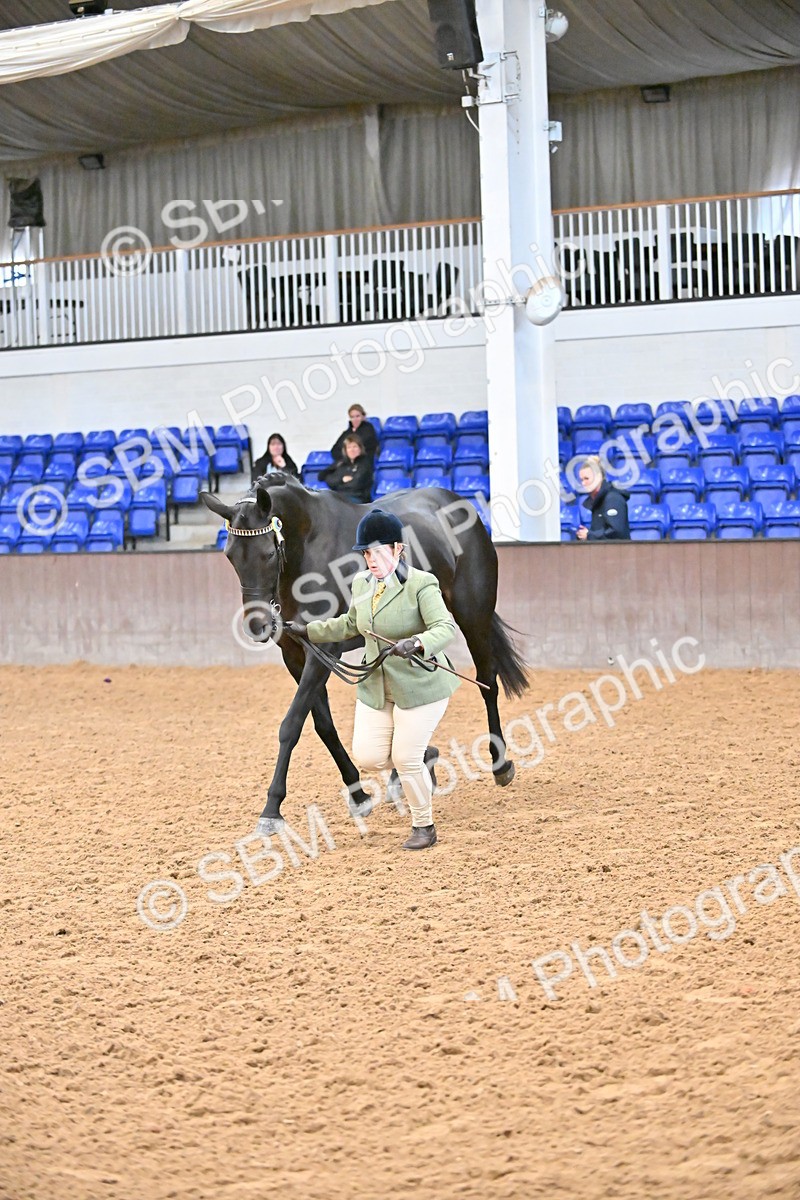 SBM_000146 - Class 6 - BSHA In Hand Racehorse to Show Horse