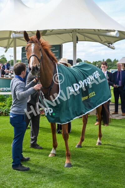 yr12052022r3-43 - Race 3 3.00pm The Paddy Power Hambleton Stakes