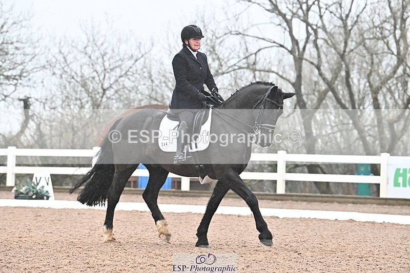 250215-103112-03039 - 244-Suzanne.Clark-Ballinamurra.Billy