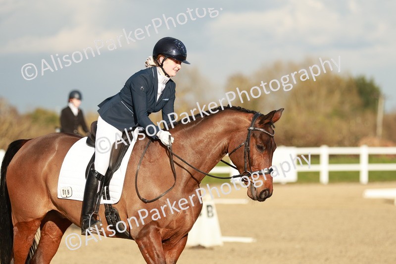 20260314-6314 - CT7 - Elementary 2