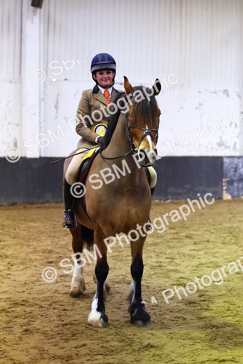 SBM_006657 - Class 43 - RIHS Qualifier Exceeding 43cms