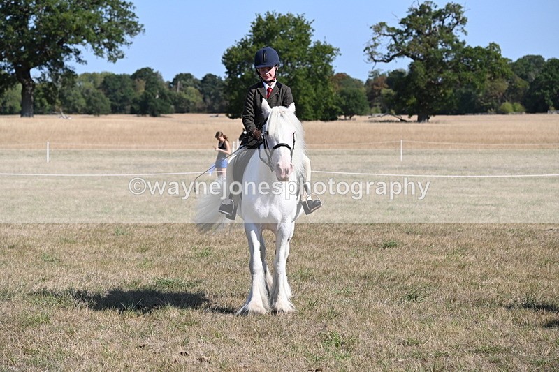 WJ6_7551 - Class 34 Judges Choice