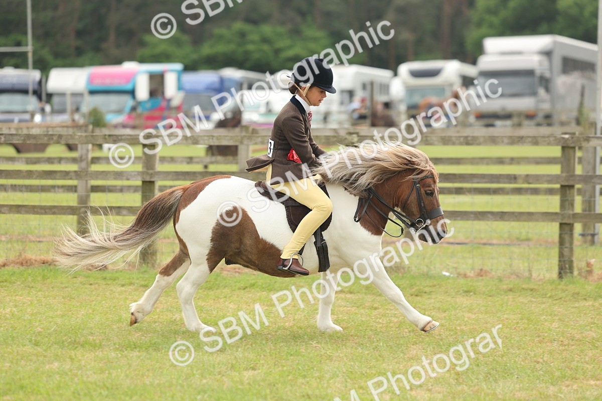 SBM_09140 - Class 78-80 - Ridden M&M Non Welsh Ponies