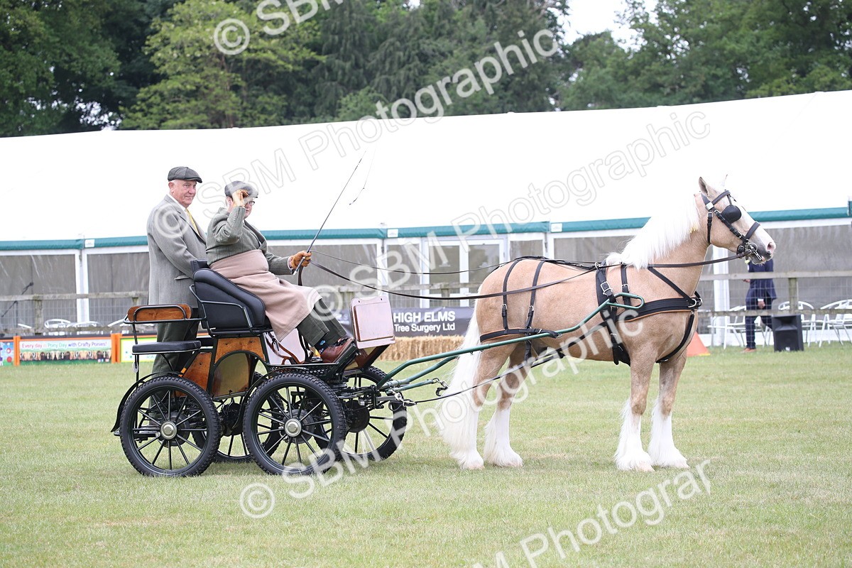 SBM_05676 - Class 12-15 - HOYS Private Driving