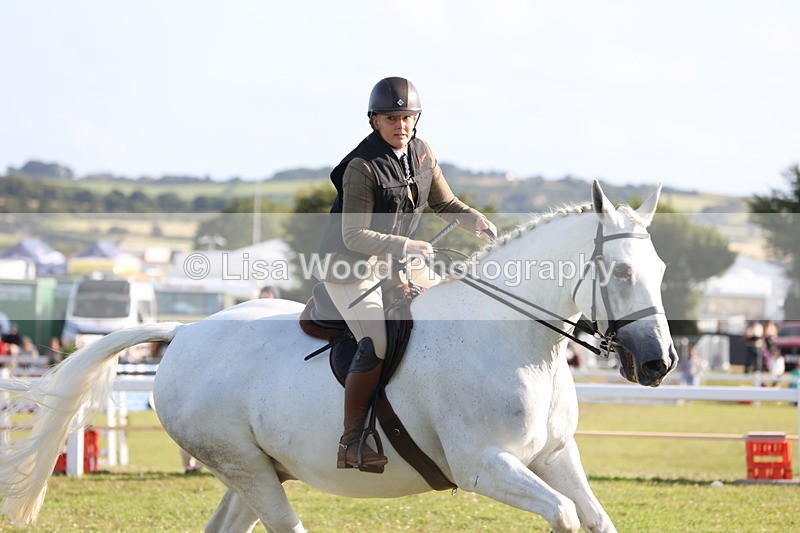 JPP_3339 - Class 22: Working Hunter 90cm