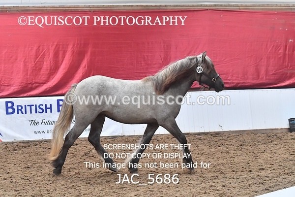 JAC_5686 - 6 Glenmuir Niamh