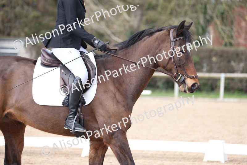 20260228-0704 - Class 5 - Novice 2