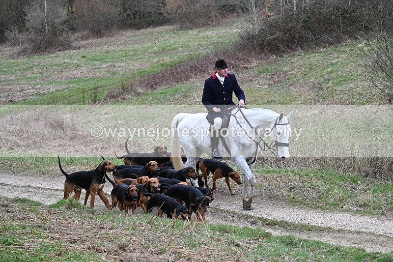 WJ7_7321 - Walk Home