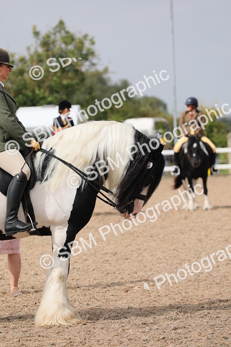 SBM_12810 - Class 307 Ridden Coloured Pony