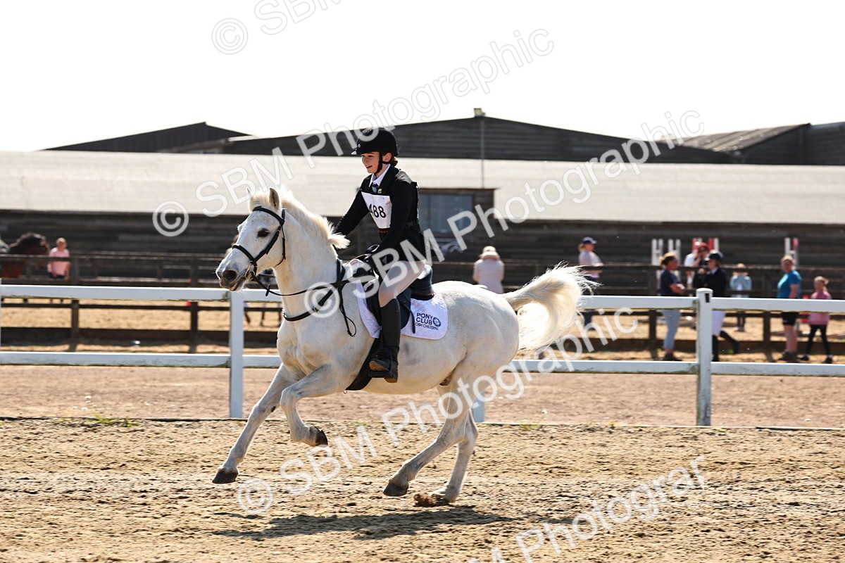 SBM_006718 - Class 2 - 50cm