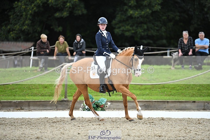 230812-124138-04192 - Cls 6 Novice Silver 12.10 to End