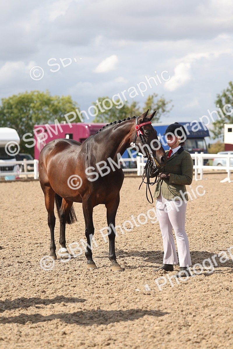 SBM_06864 - Class 25 - IH Foreign Breeds - Purebred