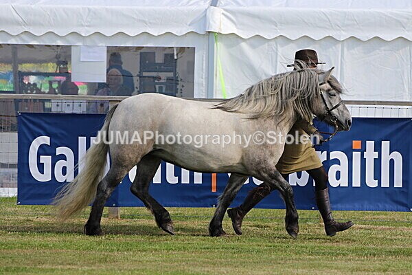 SIAL4201 - Ring 4