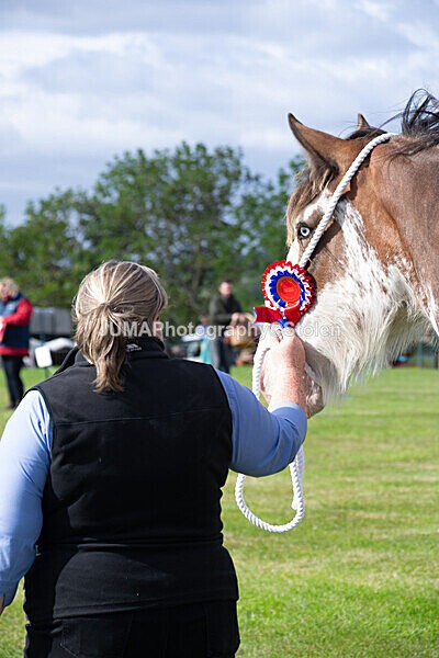 DSC_0181 - Ring 1