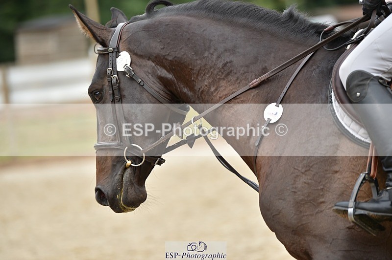 230706-093450-00138 - Cls 4 4 year old