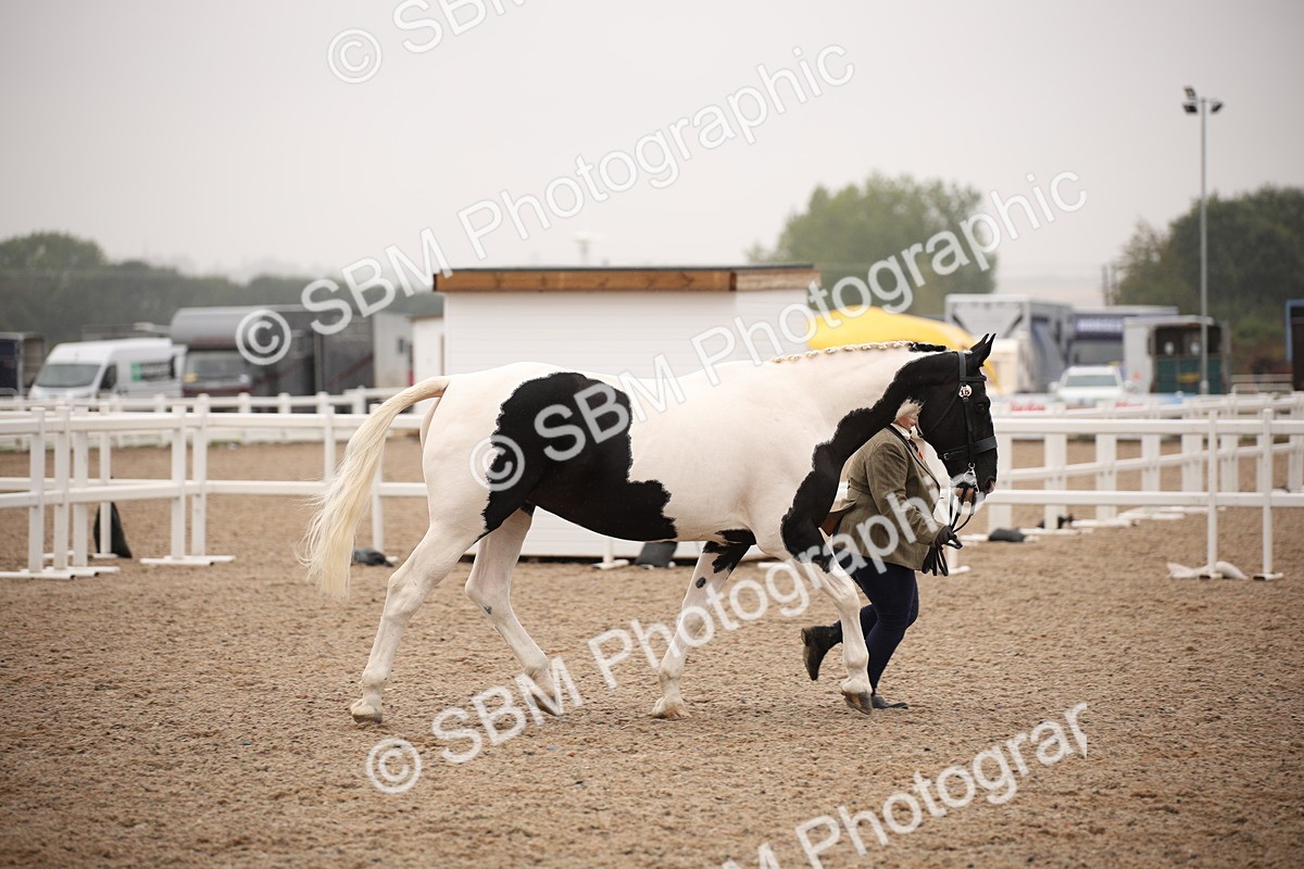 SBM_20166 - Class 703 - IH  Coloured