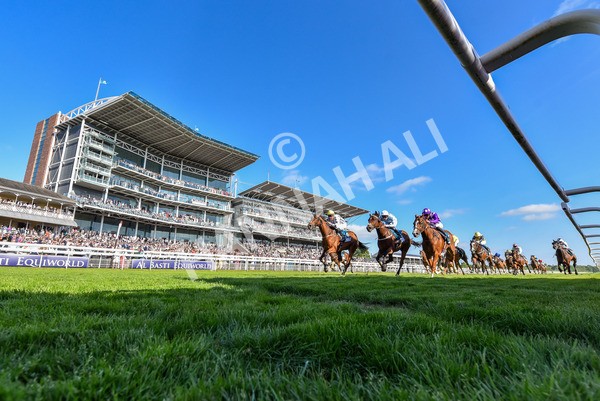 160525-Race 7-Delicacy-2816 - Race 7 5.30pm Yorkshire Equine Practice Handicap