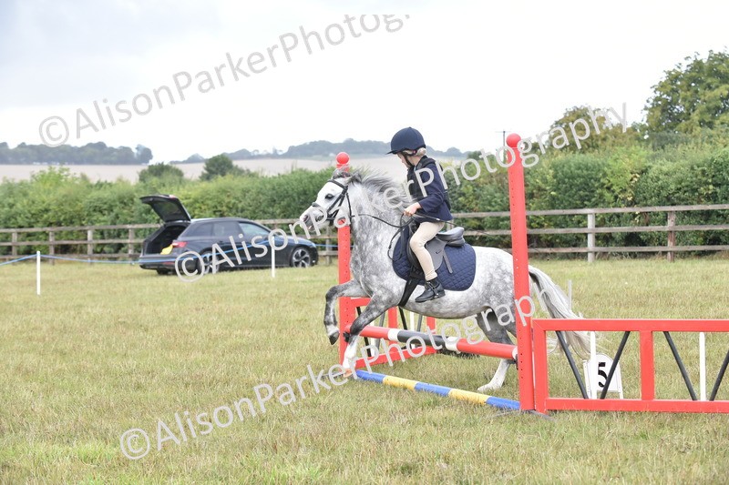 20250831-1845 - Class 9 - Absolute Novice 45cm