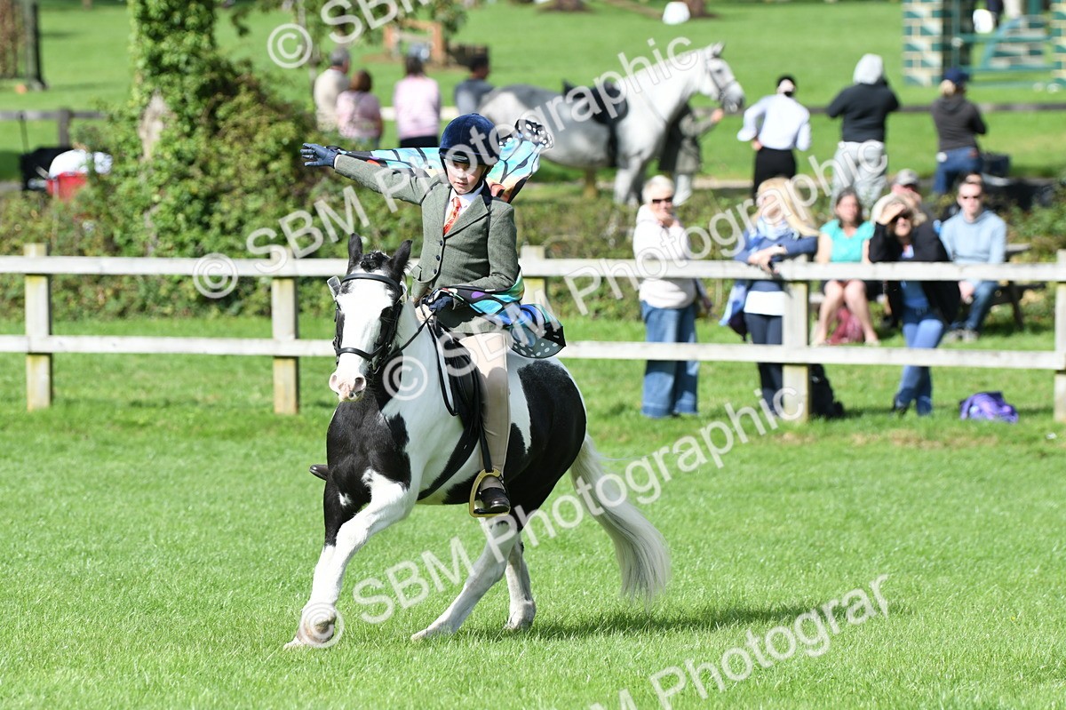 SBM_46994 - S12 - Family Horse & Pony