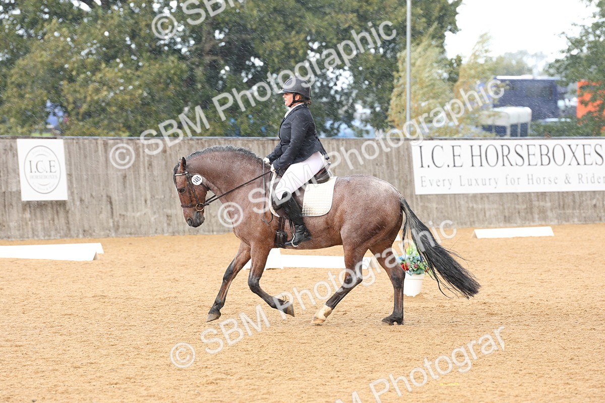 SBM_19570 - D10 - Small Tour Championship Prelim 2