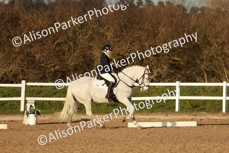 20260314-6390 - CT7 - Elementary 2