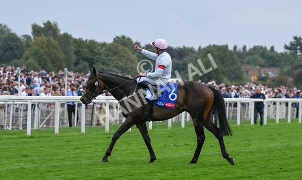 230825-149 Ethical Diamond - Race 4 3.35pm Sky Bet Ebor Handicap
