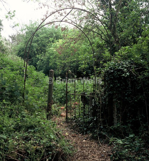 Gate in undergrowth - Abode's