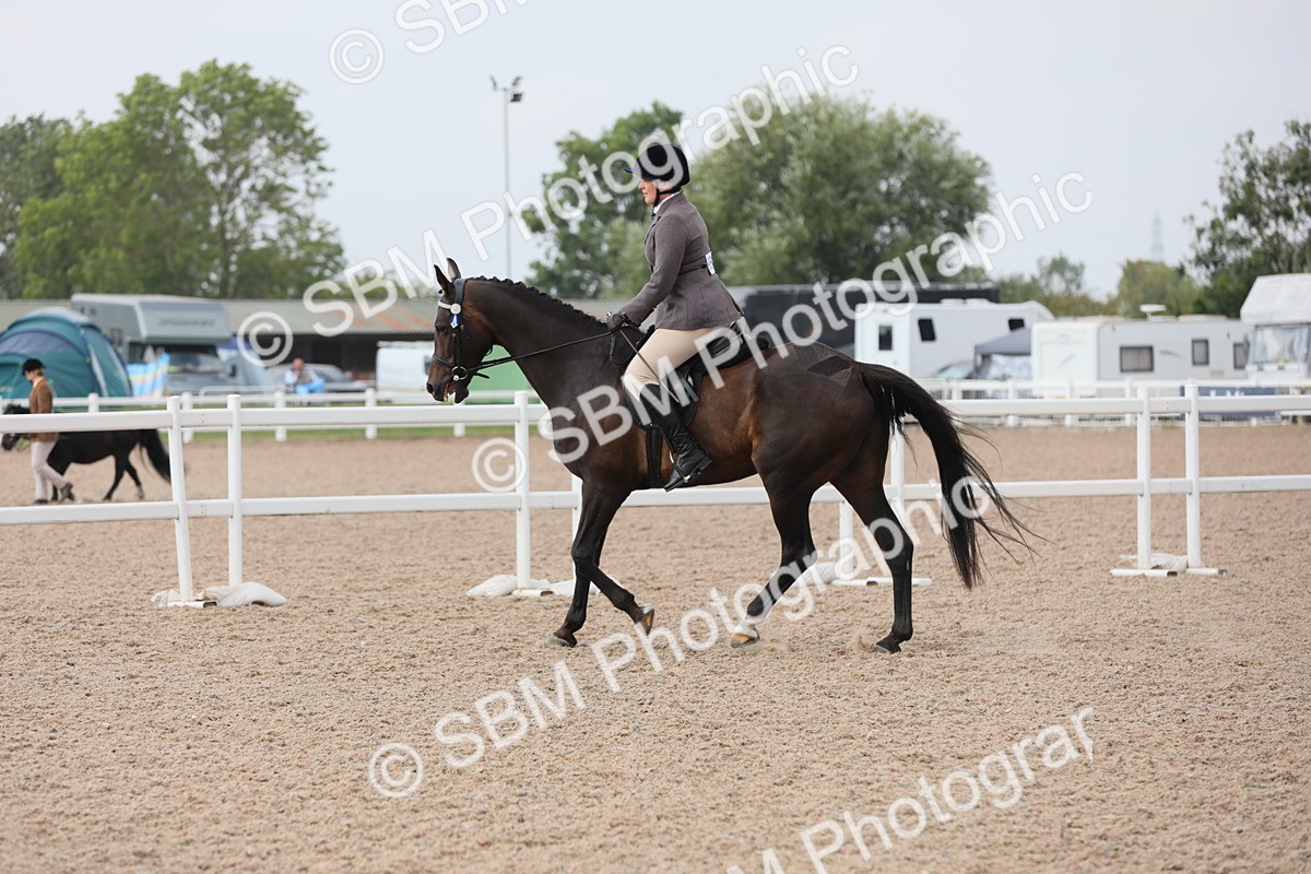 SBM_11449 - Class 305 Ridden Foreign Breeds- Pure Bred