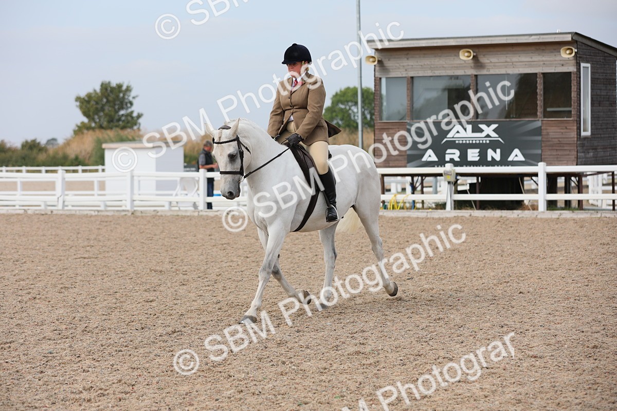SBM_16991 - Class 314 Family Horse/Pony