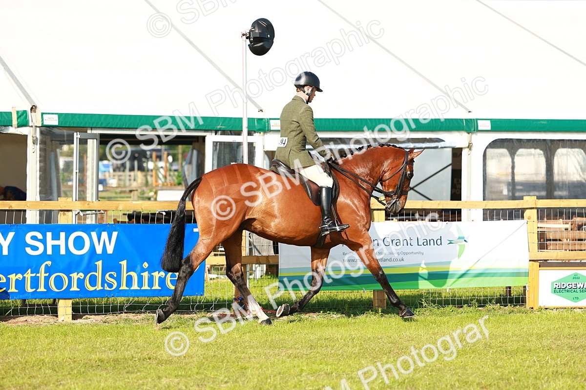 SBM_10720 - Class 66-69 - RIHS Ridden Hunters Inc Small Hunter