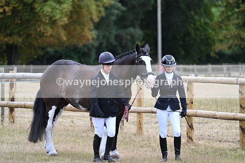 WJ7_8910 - Class 4a Prettiest Mare 14.2hh and over